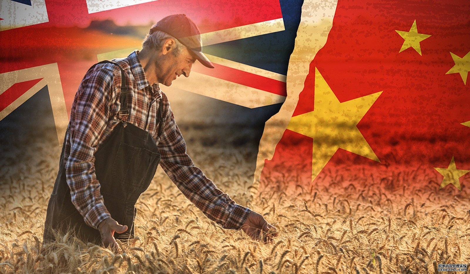 損失超5436億？澳新貿(mào)易部長再向中方求和